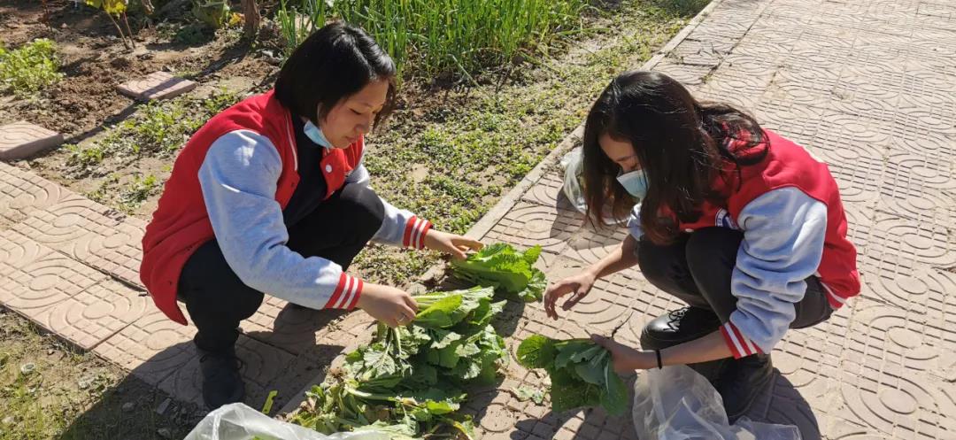 微信图片_20211111142808.jpg 微信图片_20211111142808.jpg