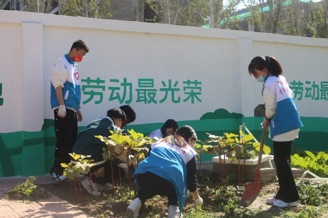 微信图片_20211111142721.jpg 微信图片_20211111142721.jpg