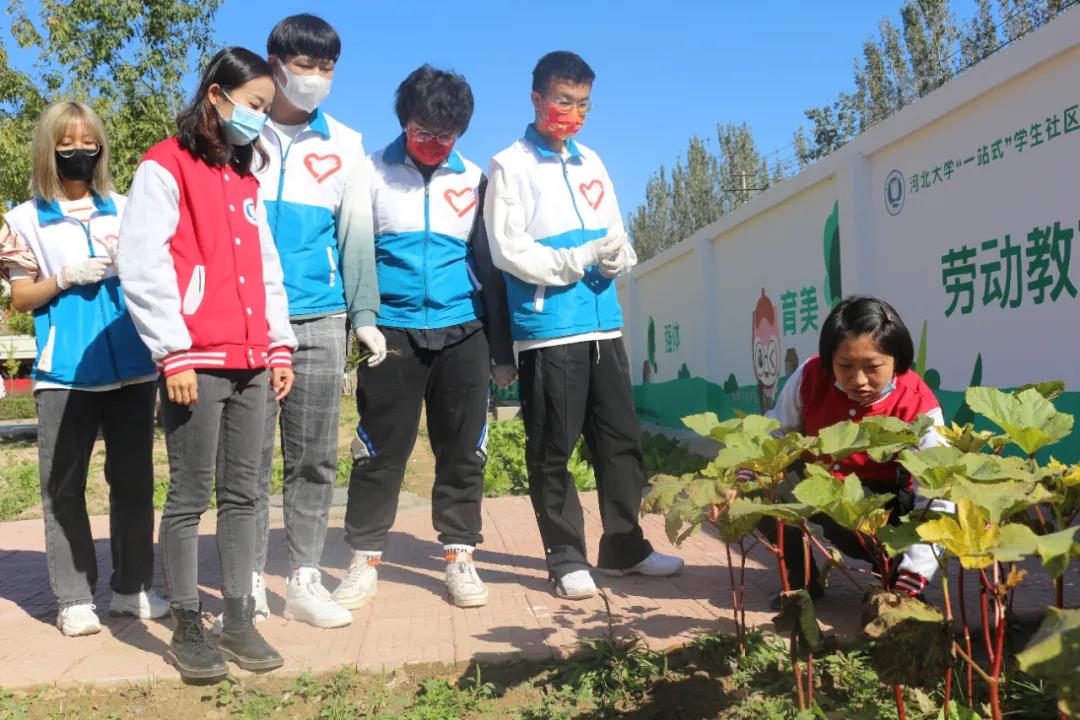微信图片_20211111142803.jpg 微信图片_20211111142803.jpg